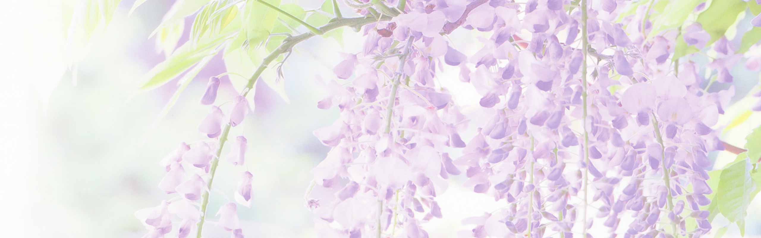 ���䤹�餫��ιΩ�ĸοͤؤκǹ�λפ����