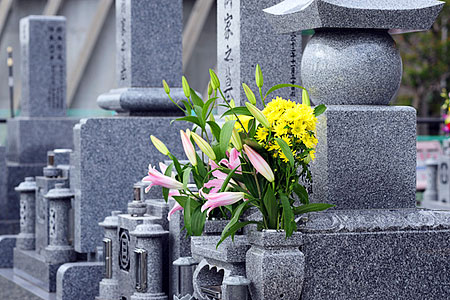 ���С����ƥʥ󥹡��褸�ޤ�